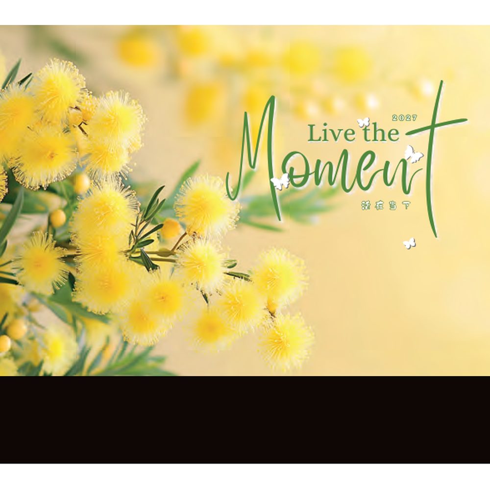 Live the Moment 132 desk calendar printing Singapore - cover by Siang Heng